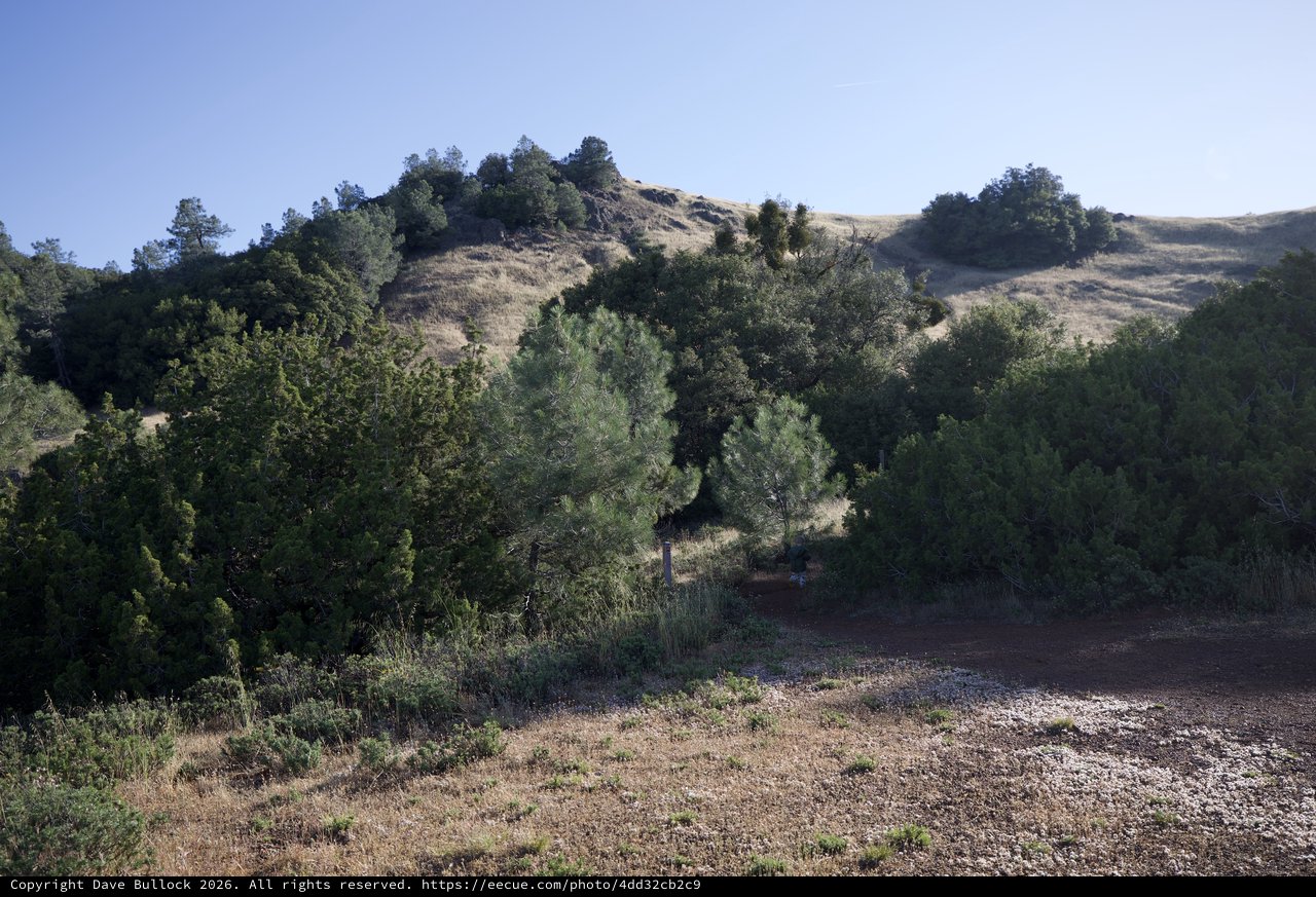 Sunlit Chaparral Hills of Mount Diablo