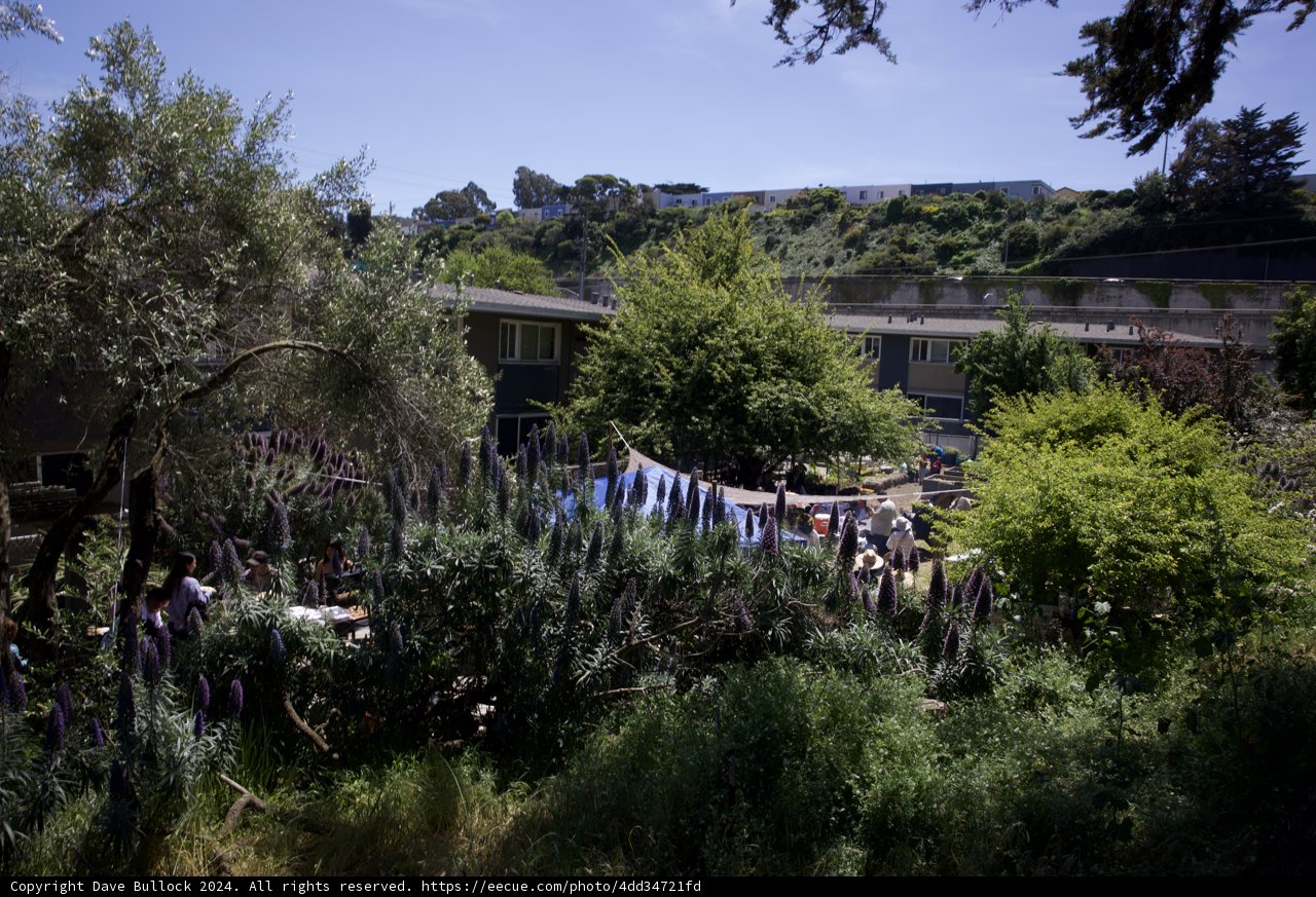 Communing with Nature: Earth Day at Alemany Farm