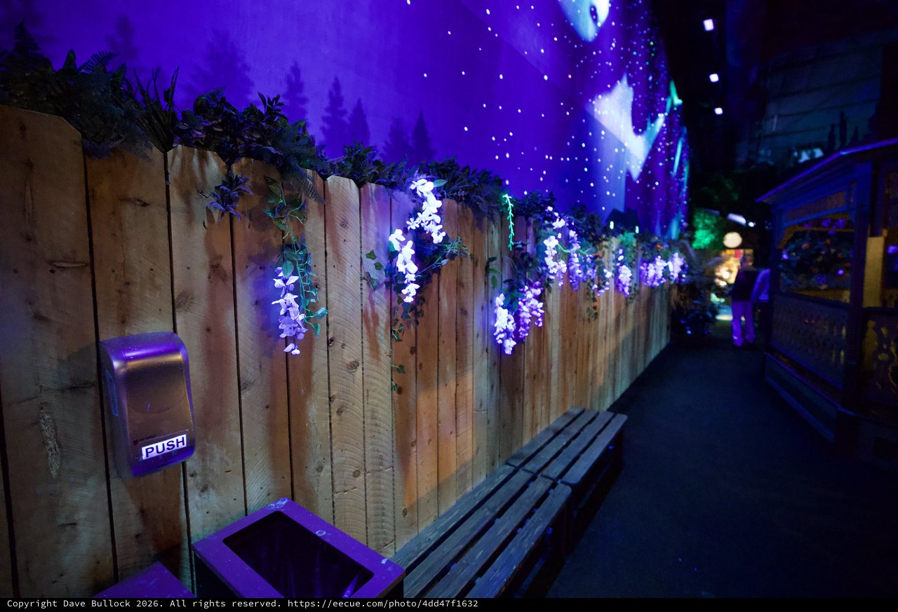Enchanted Winter Garden with Purple LED Lights and Wooden Fence