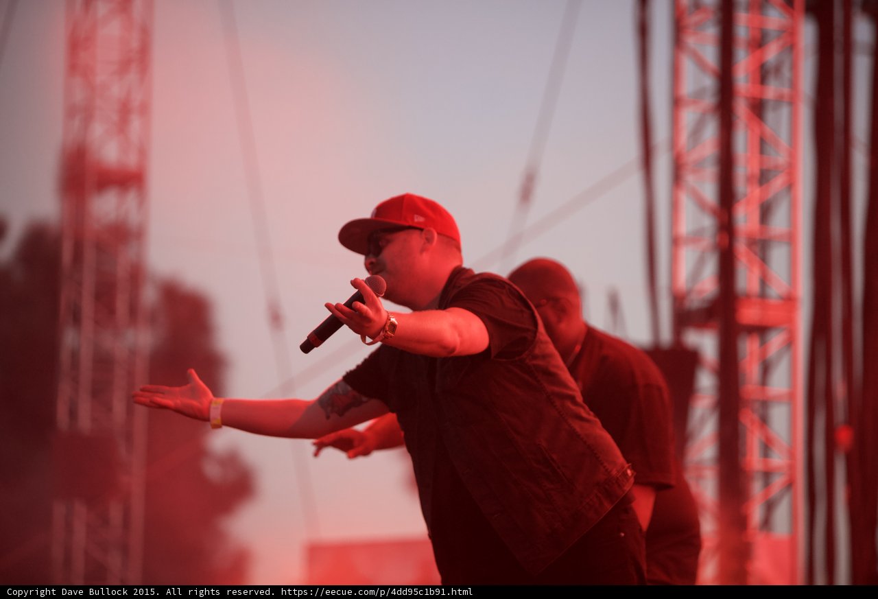 El-P Arm Extended