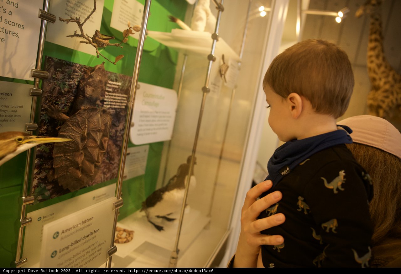Exploration at the Academy: Wesley's Journey through Wildlife