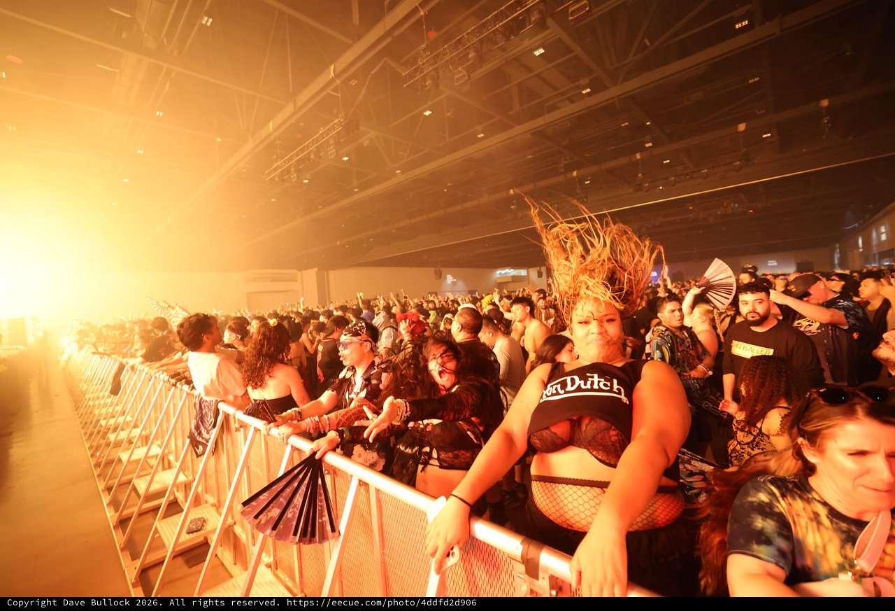 Electric Crowd Energy at Wobbleland Festival 2026