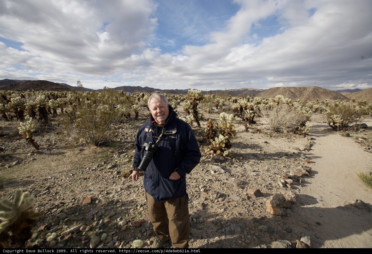 Lone Hunter in the Desert