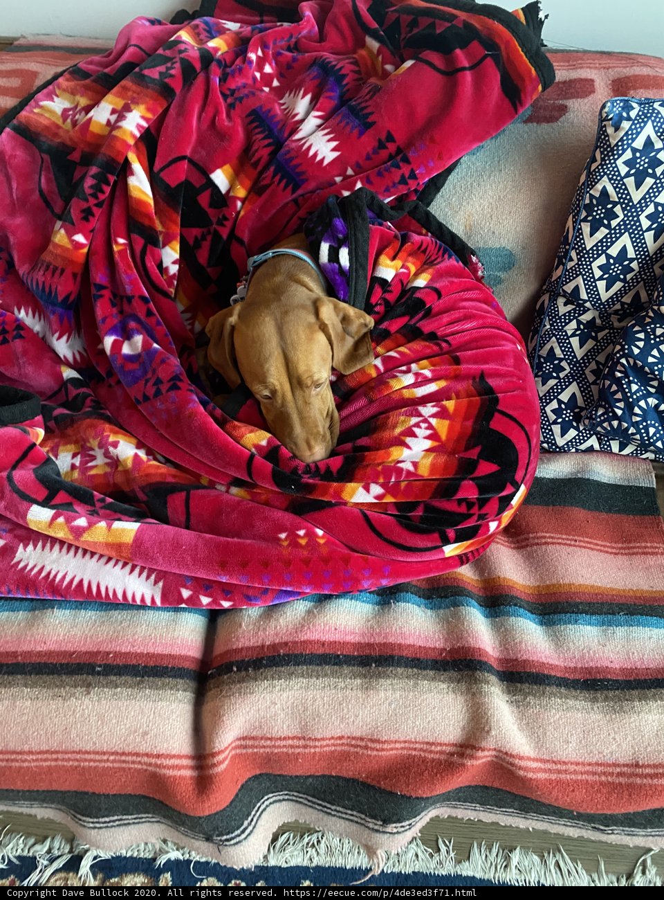 Dreaming on Linen