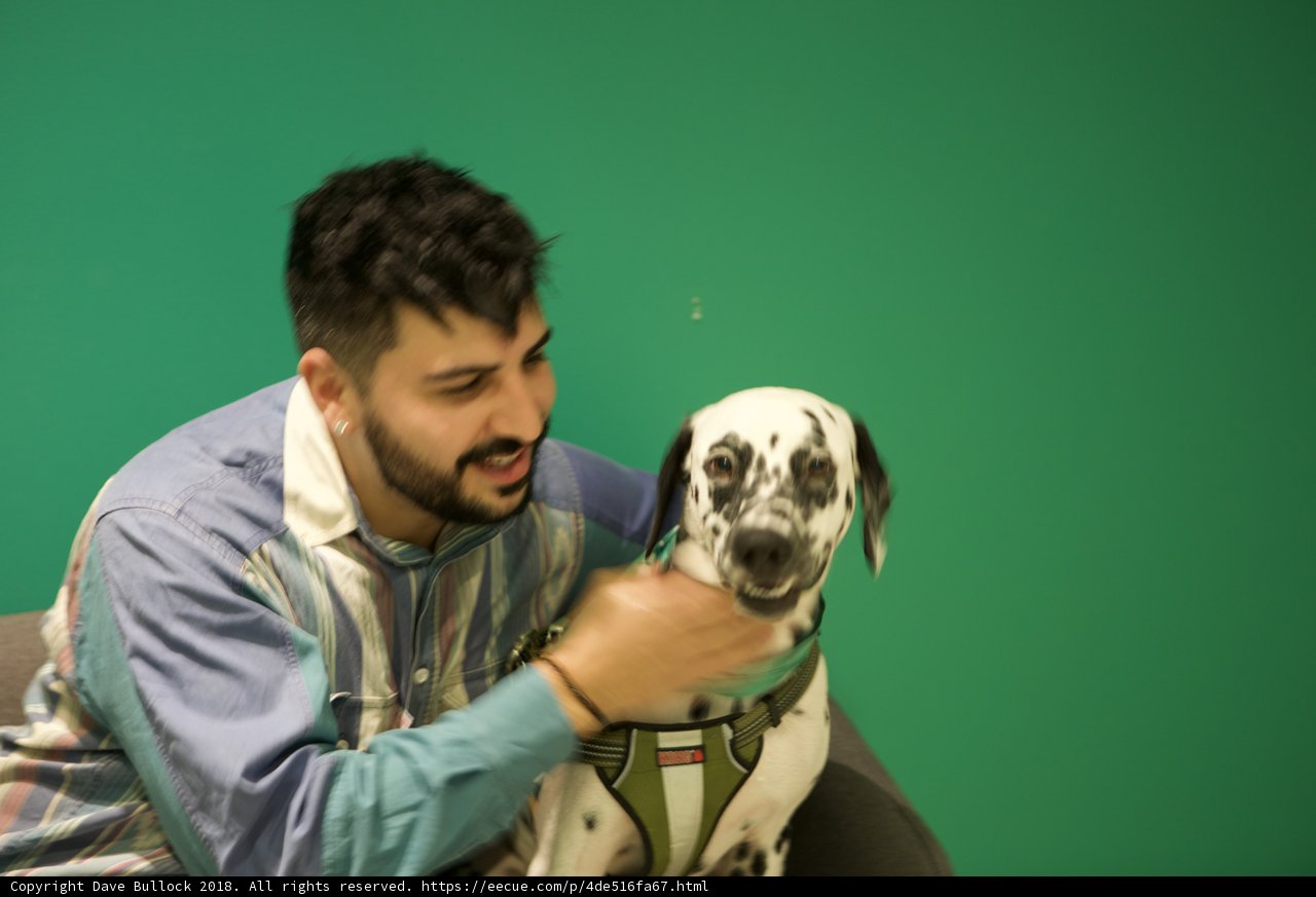 Man bonding with his beloved Dalmatian