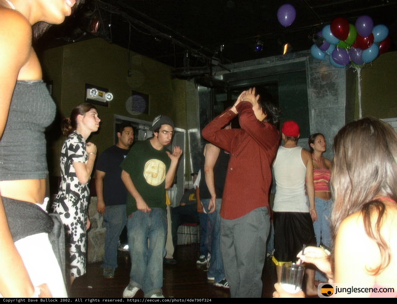Nightclub Revelry