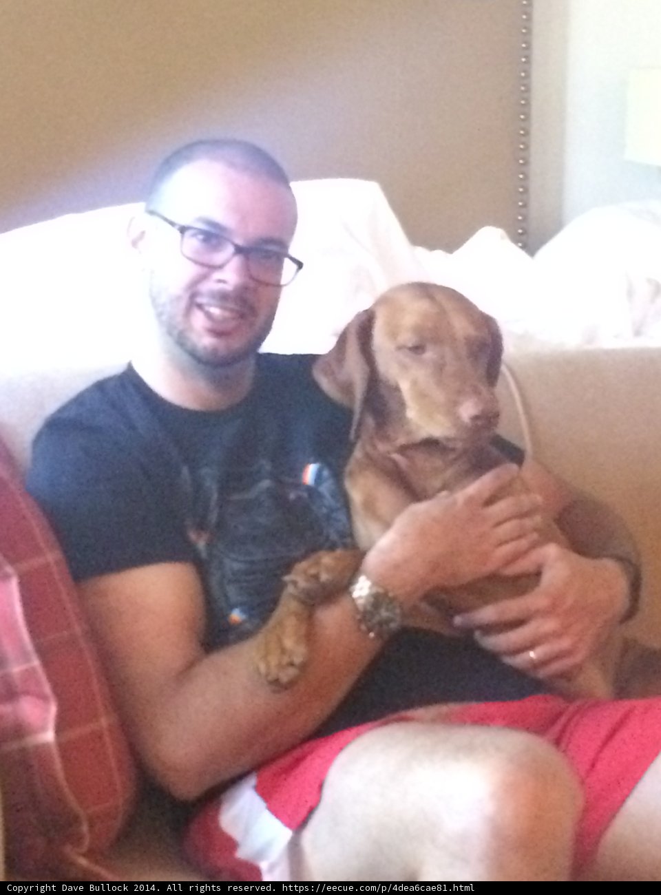 Man and his furry friend on the Couch