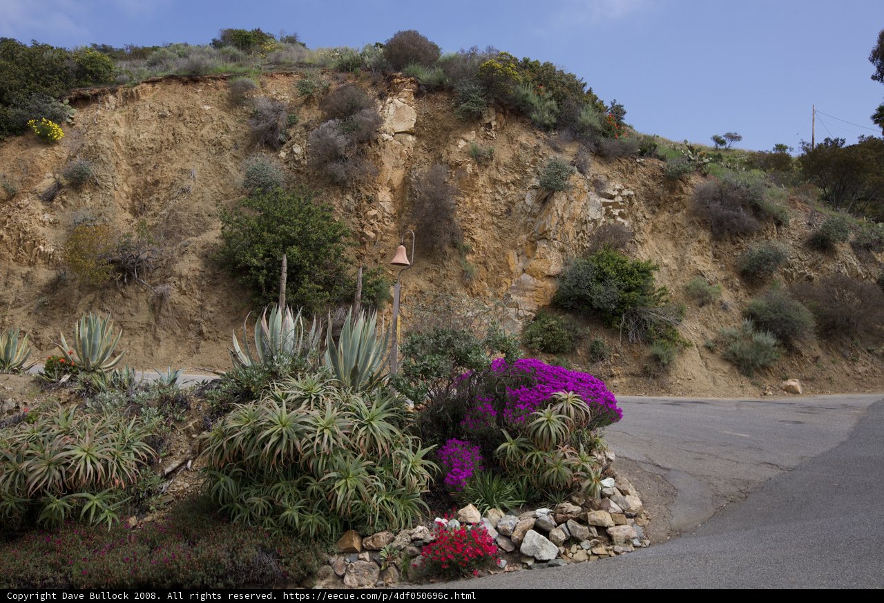 Scenic Route