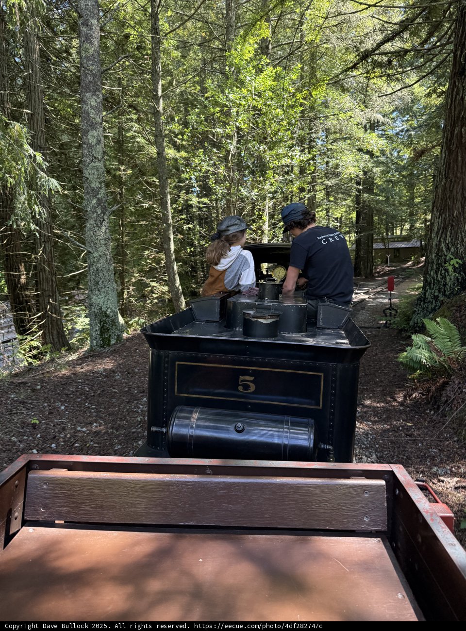 Journey Through the Woodland Rails
