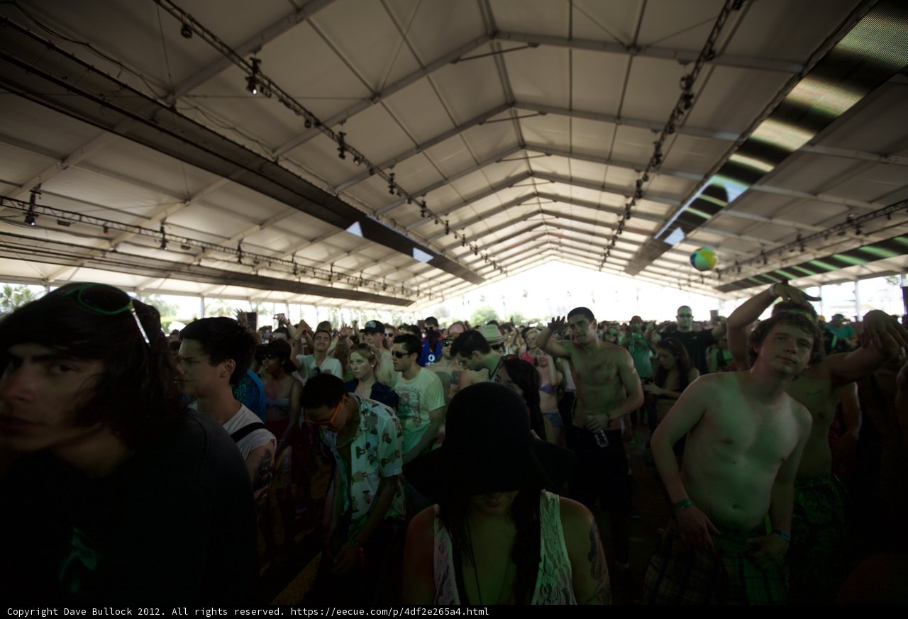 Green Painted Crowd at Coachella 2012