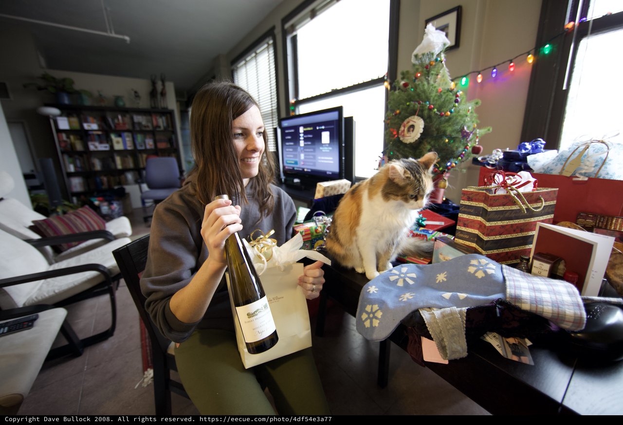 Christmas Morning Wine Gift and Curious Cat