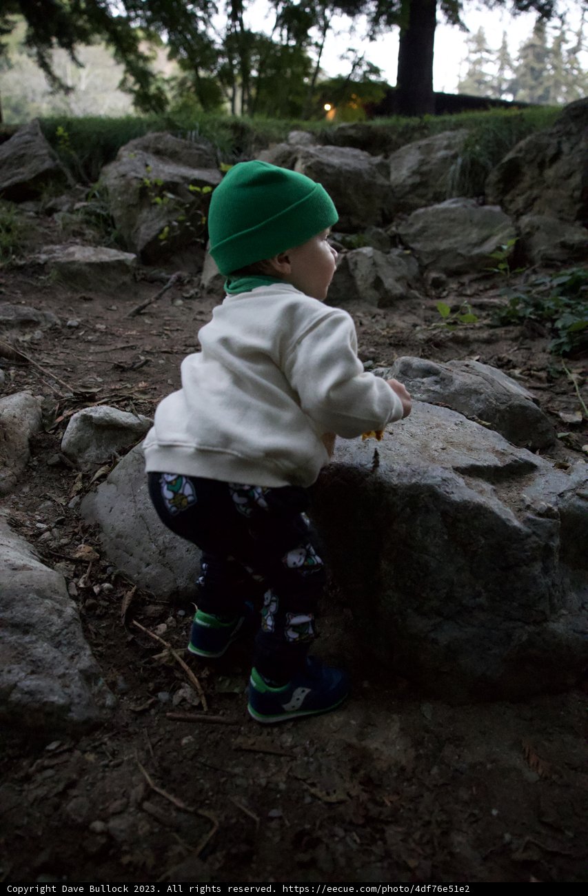 Little Explorer's Big Sur Adventure