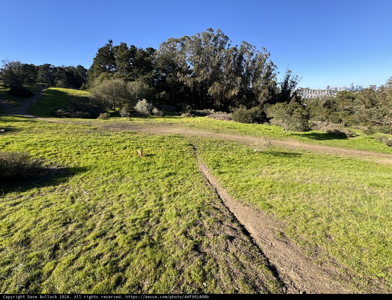 Aerial View of a Country Trail