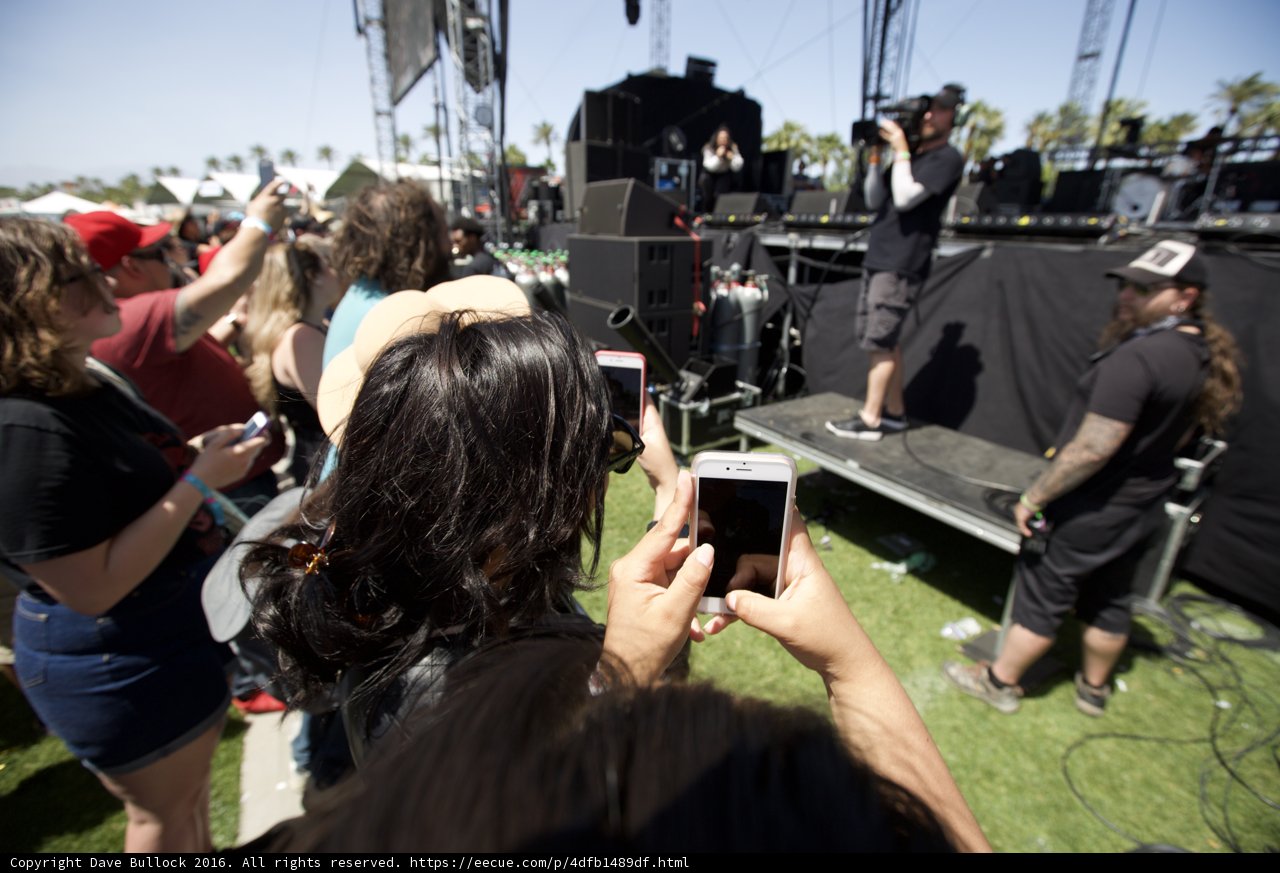 Music Festival Madness