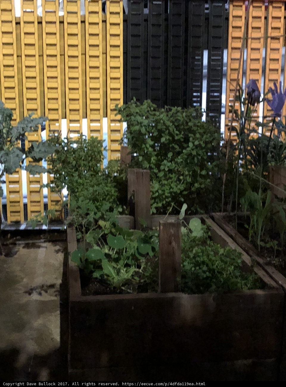A Serene Garden Sanctuary
