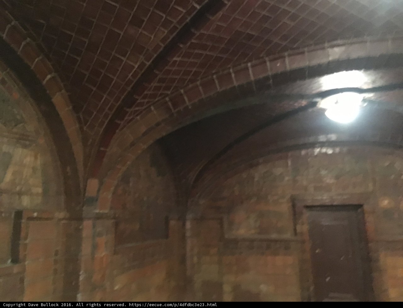 Cryptic Arches in LA