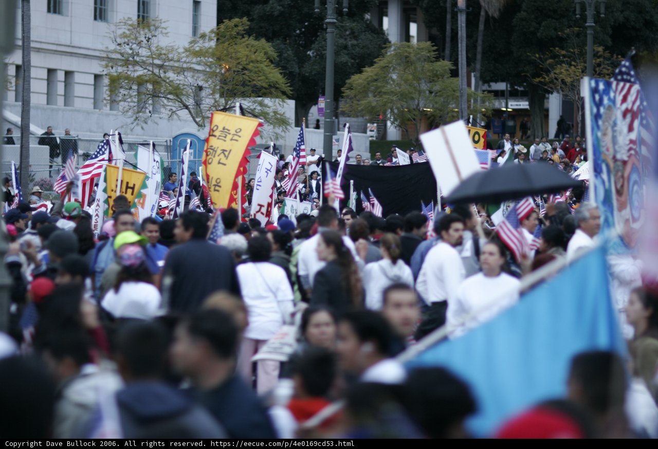 Unity in Diversity