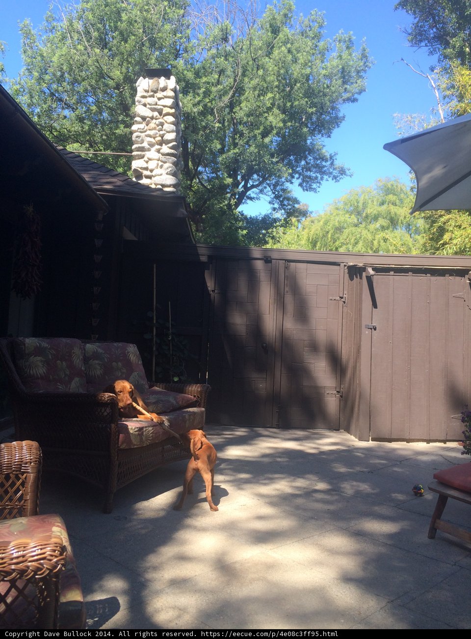 Summer Retreat