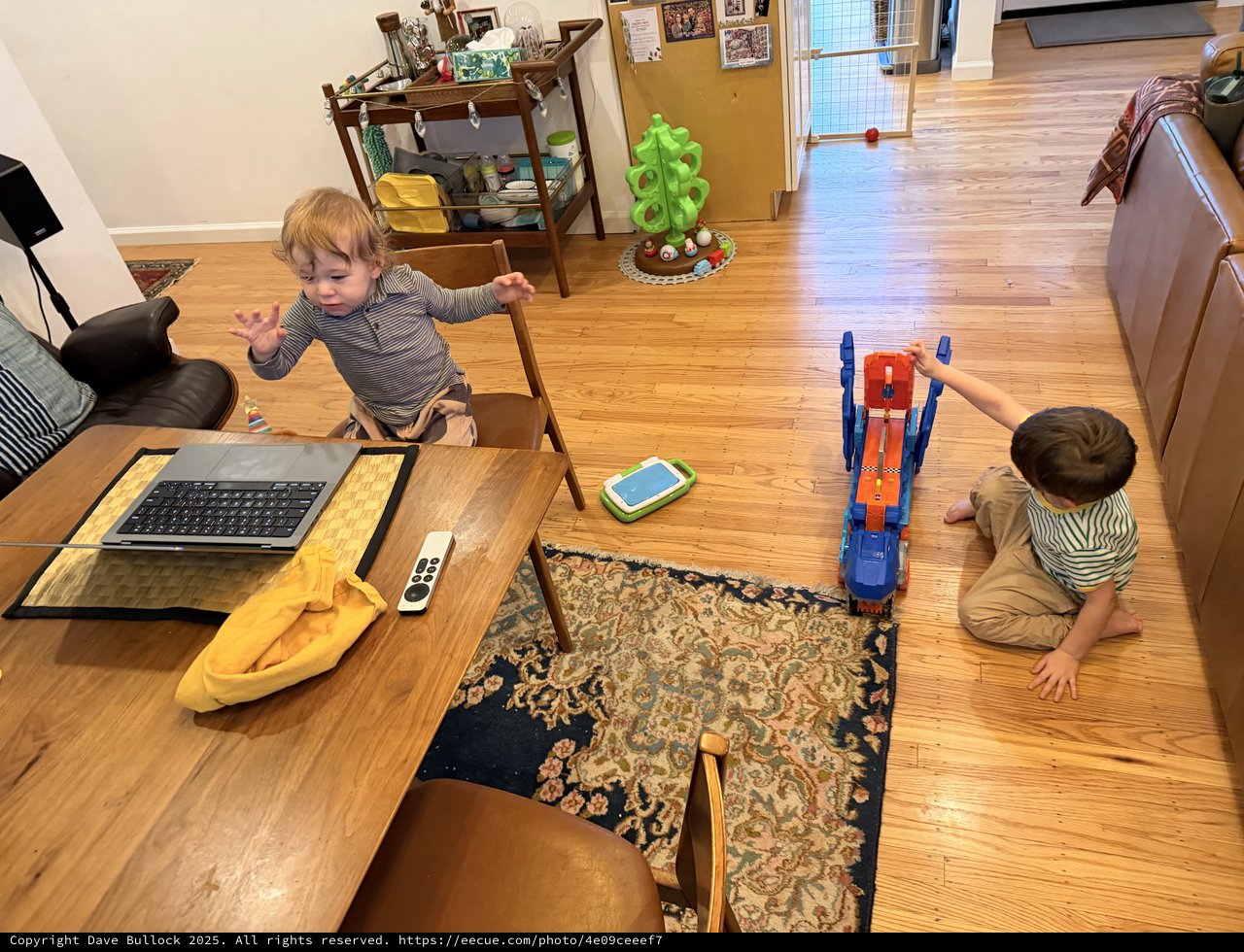 Two Young Children Playing with Toys at Home