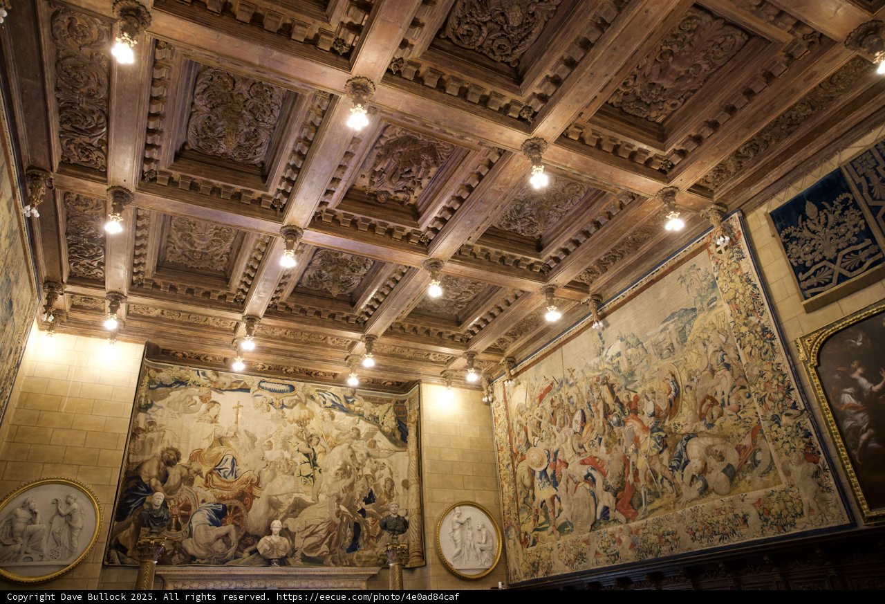 Majestic Ceiling of Hearst Castle