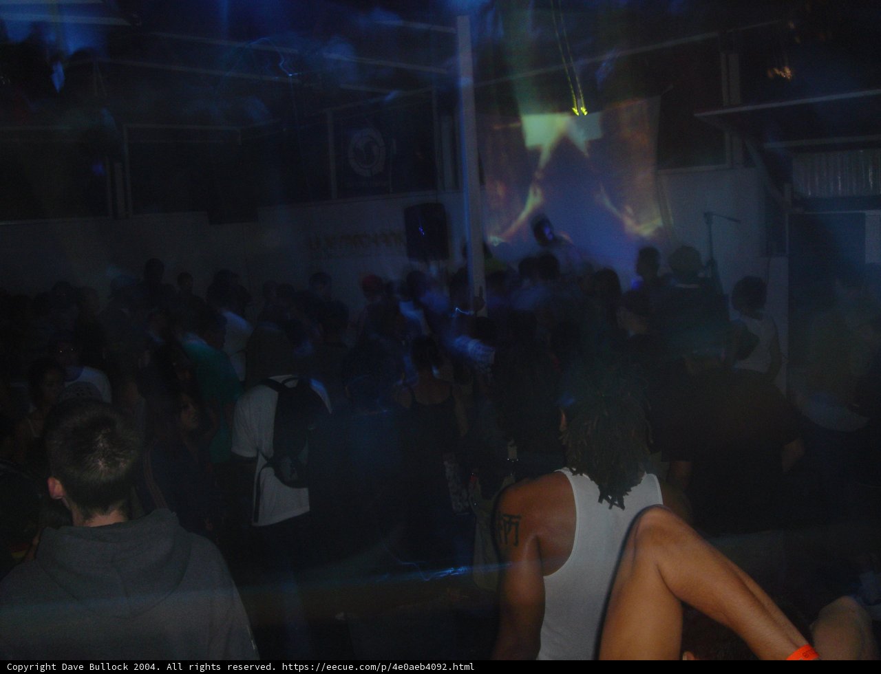 Nightclub Fun with Projector Screen