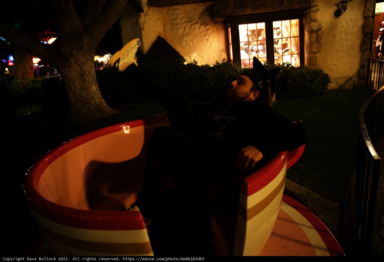 Whimsical Teacup Adventure