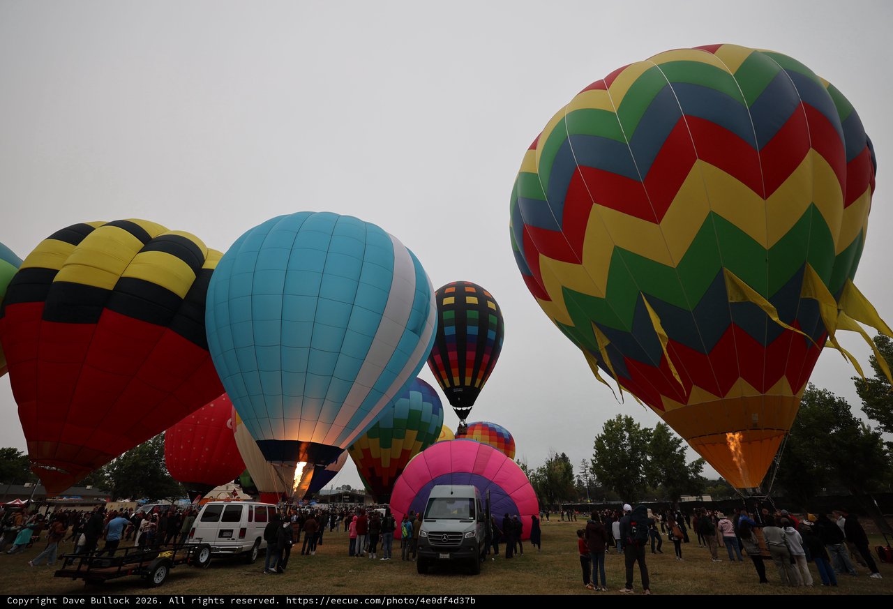 Colorful Hot Air Balloons Fill Morning Sky at Festival