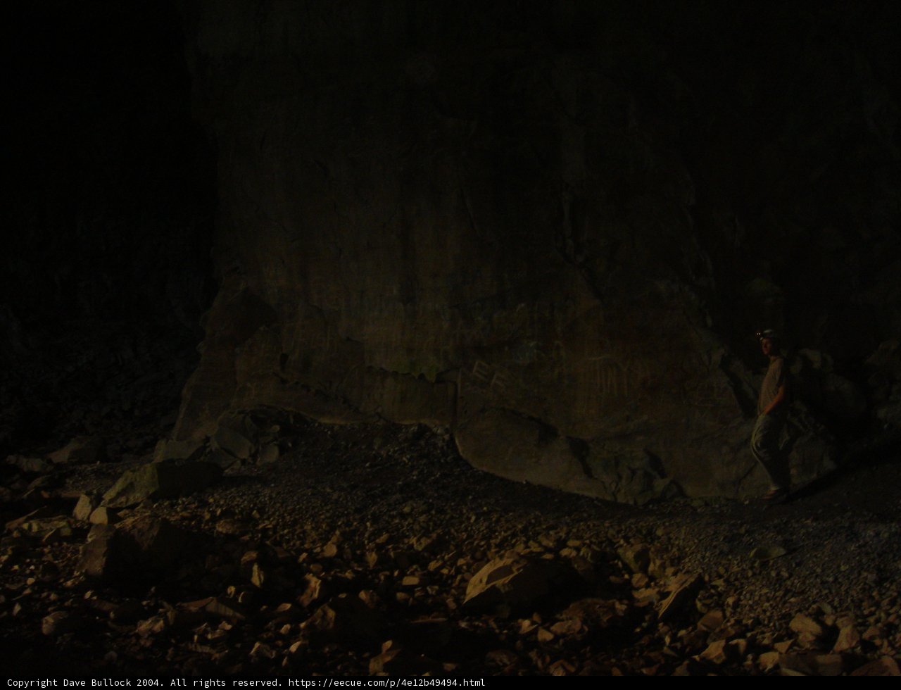 The Cave Dweller