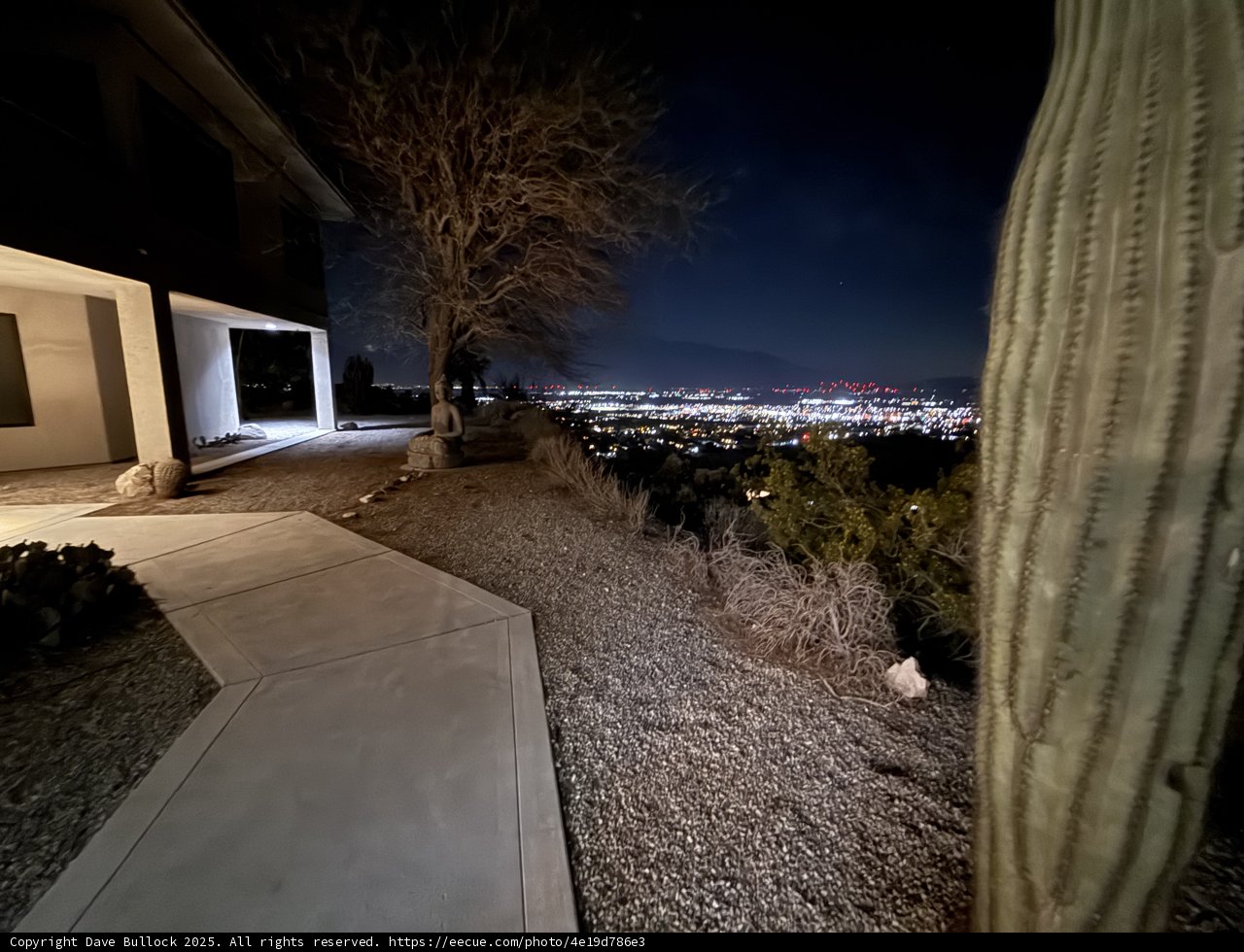 Desert Nightscape Serenity