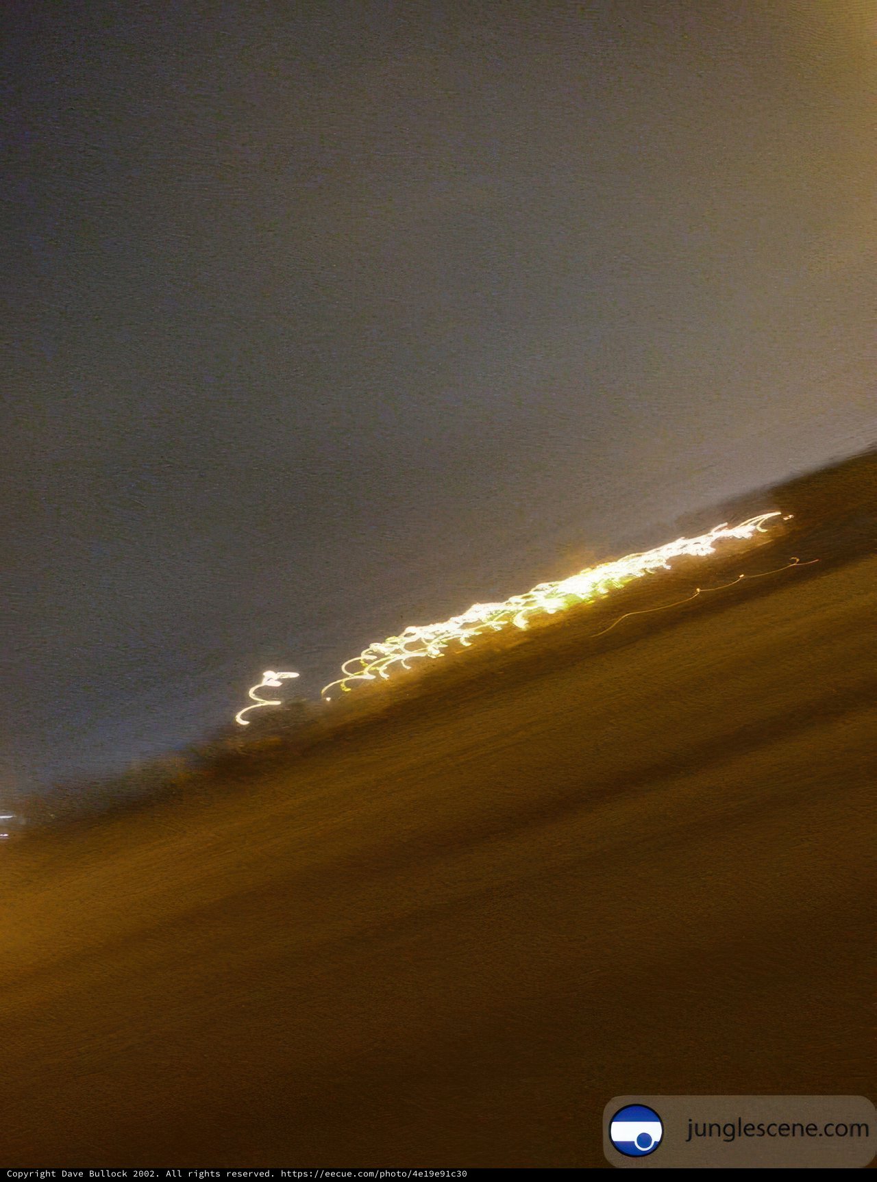 City Lights at Night