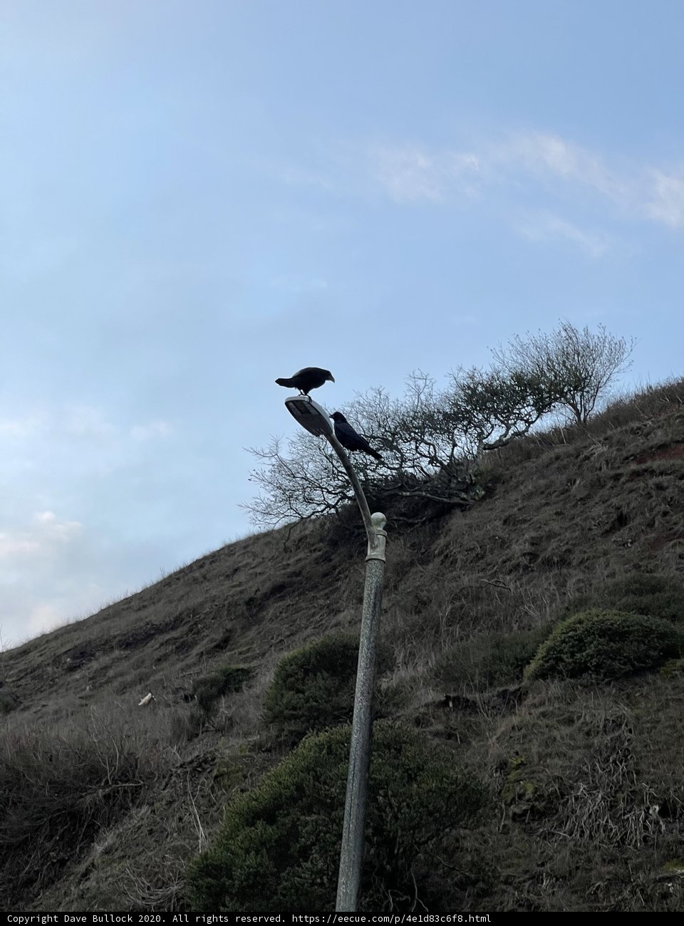 Hilltop Birdwatching