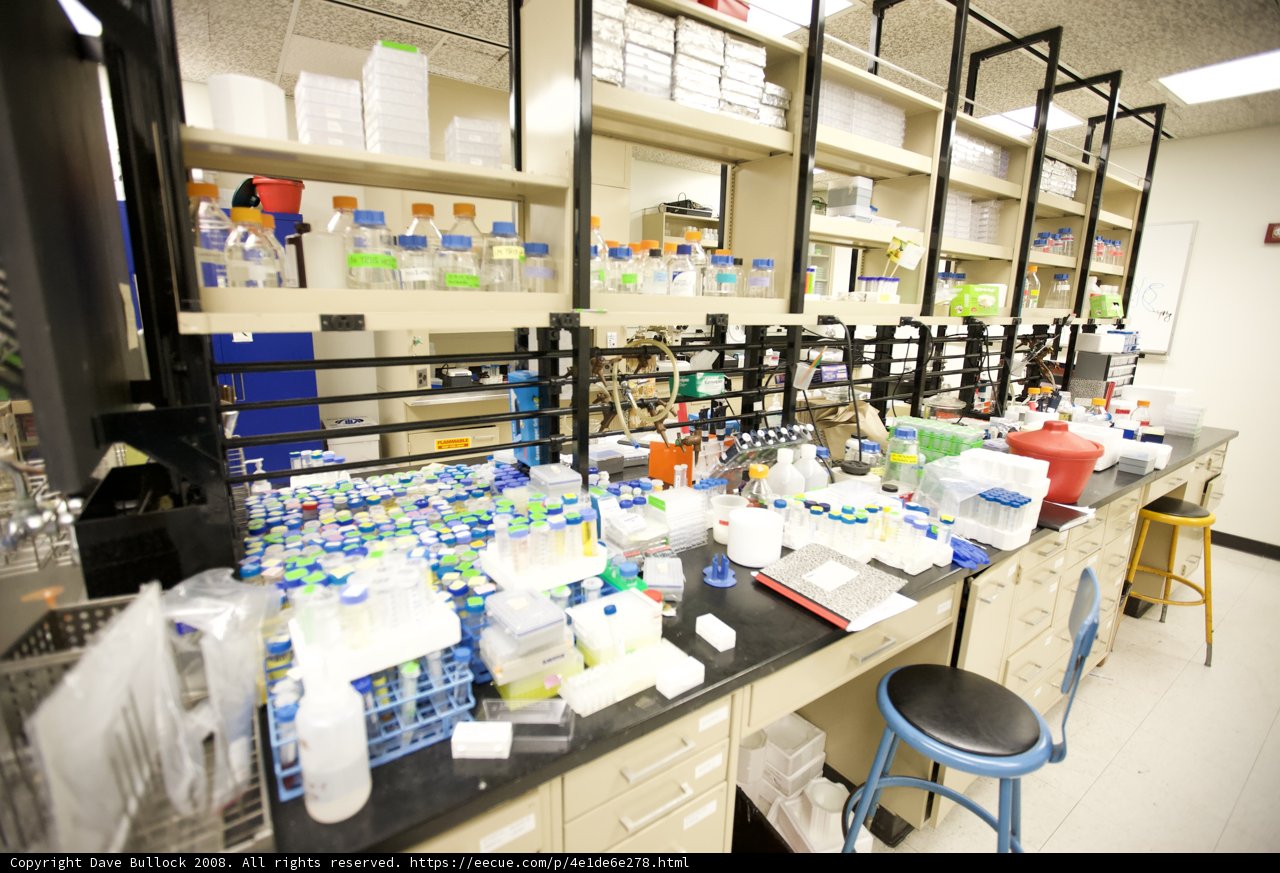 Inside a bustling biotech lab