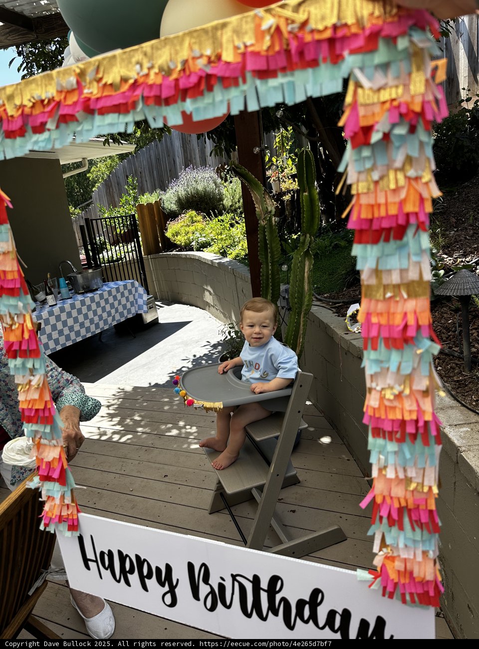 Birthday Joy in the Backyard