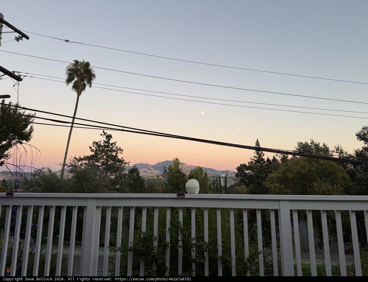 Evening Serenity
