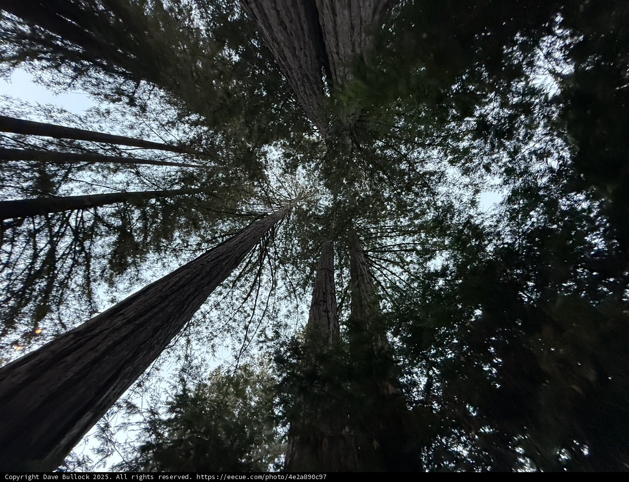 Reaching for the Sky