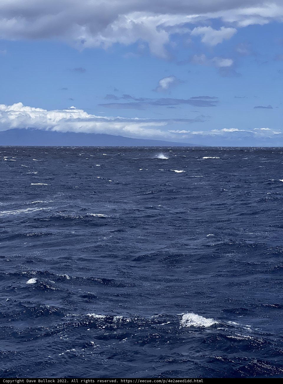 Majestic Seascape in Hawaiʻi
