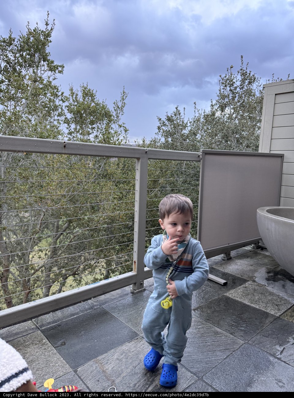 Frisbee Fun on Carmel Balcony