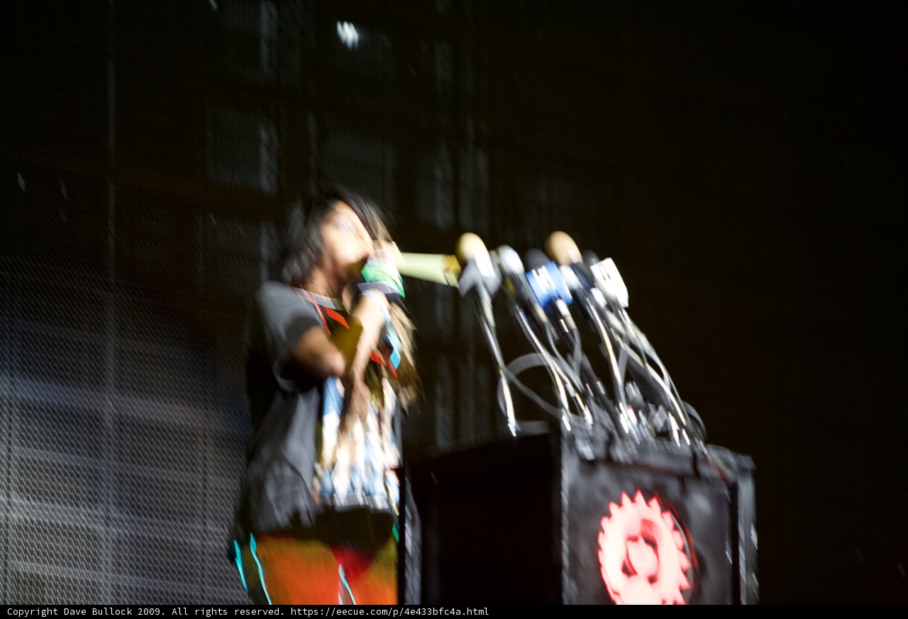 Leading the Crowd at Coachella