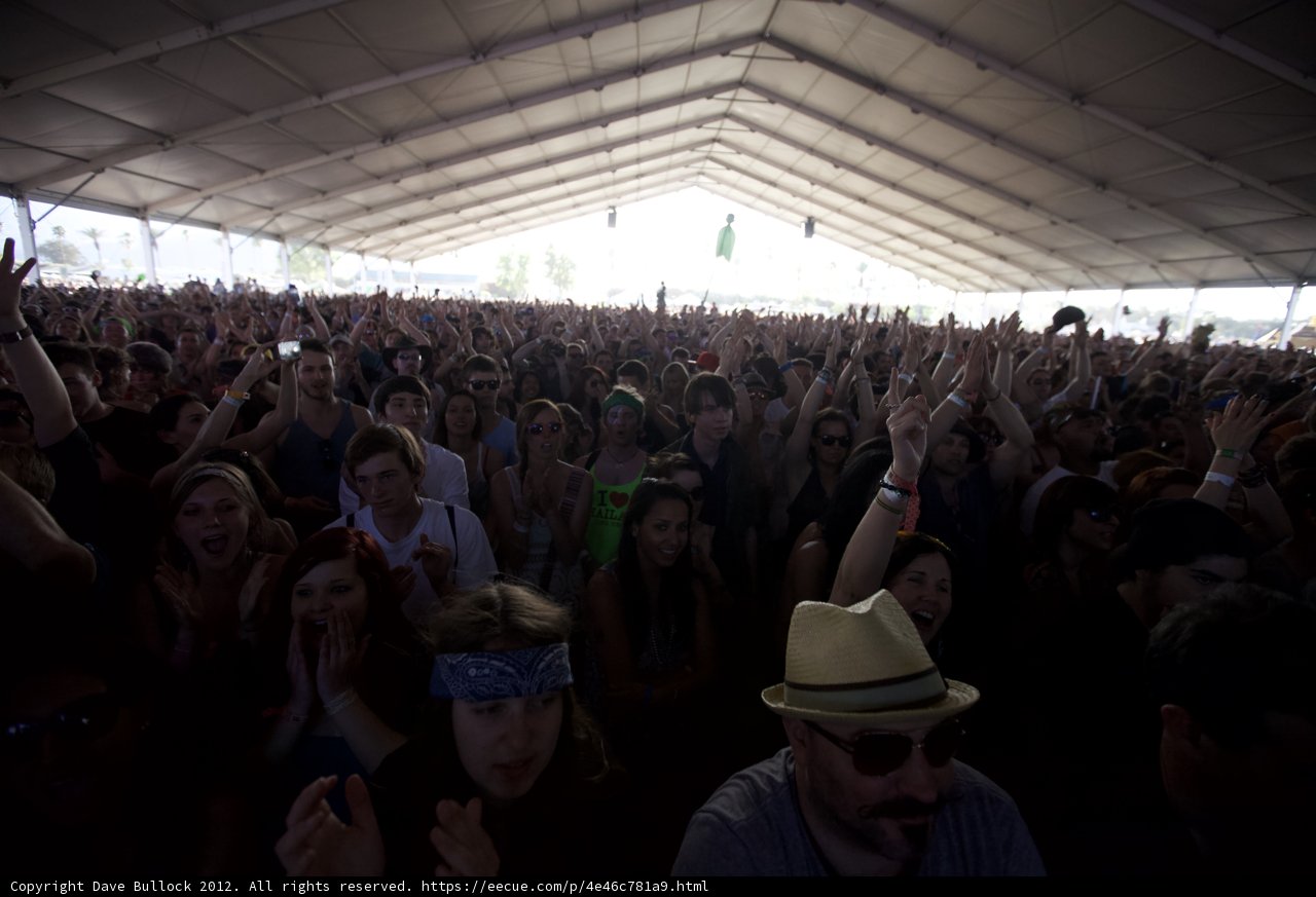 Fashionable Crowd at Coachella Music Festival