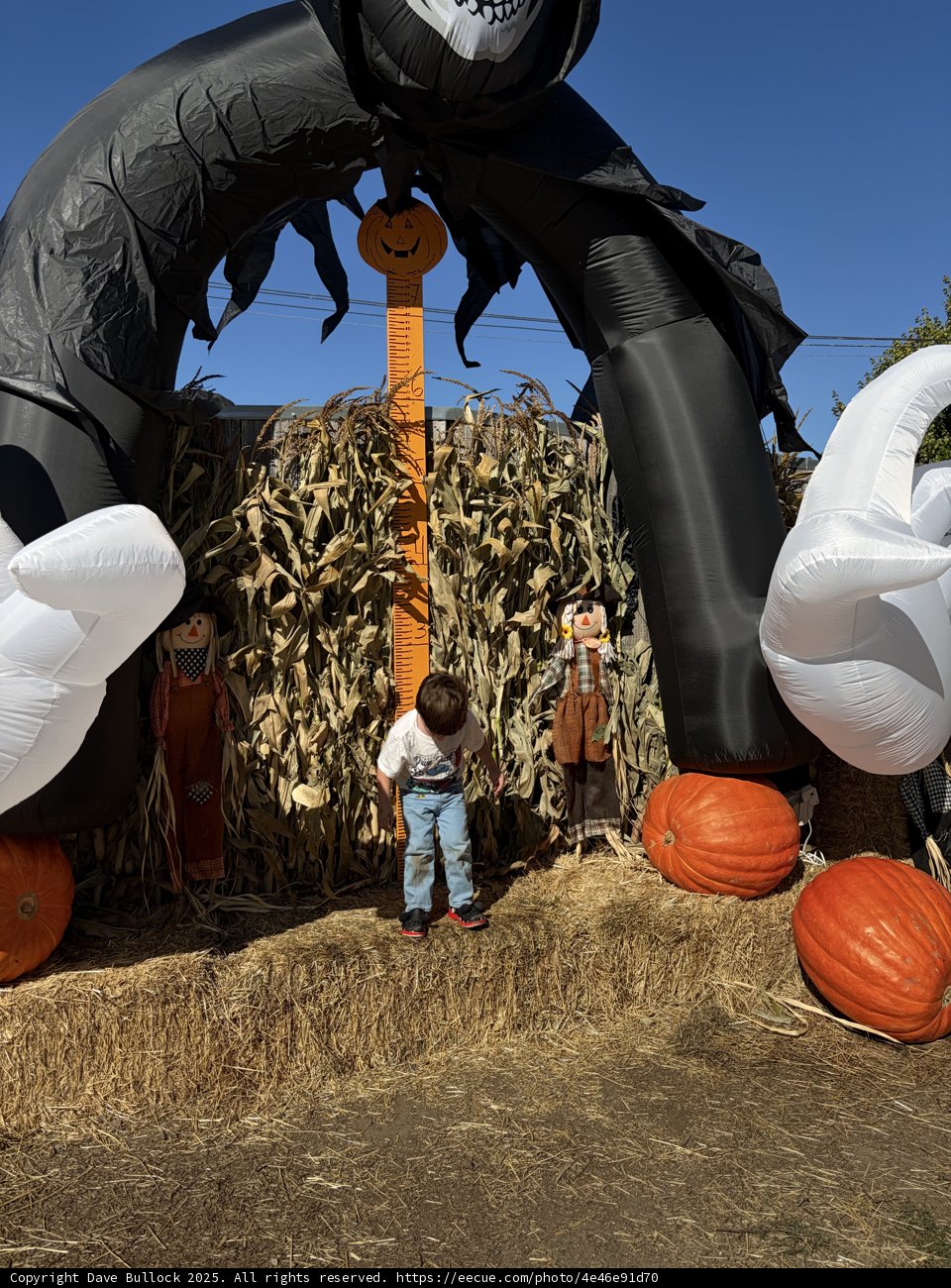 Pumpkin Patch Playtime