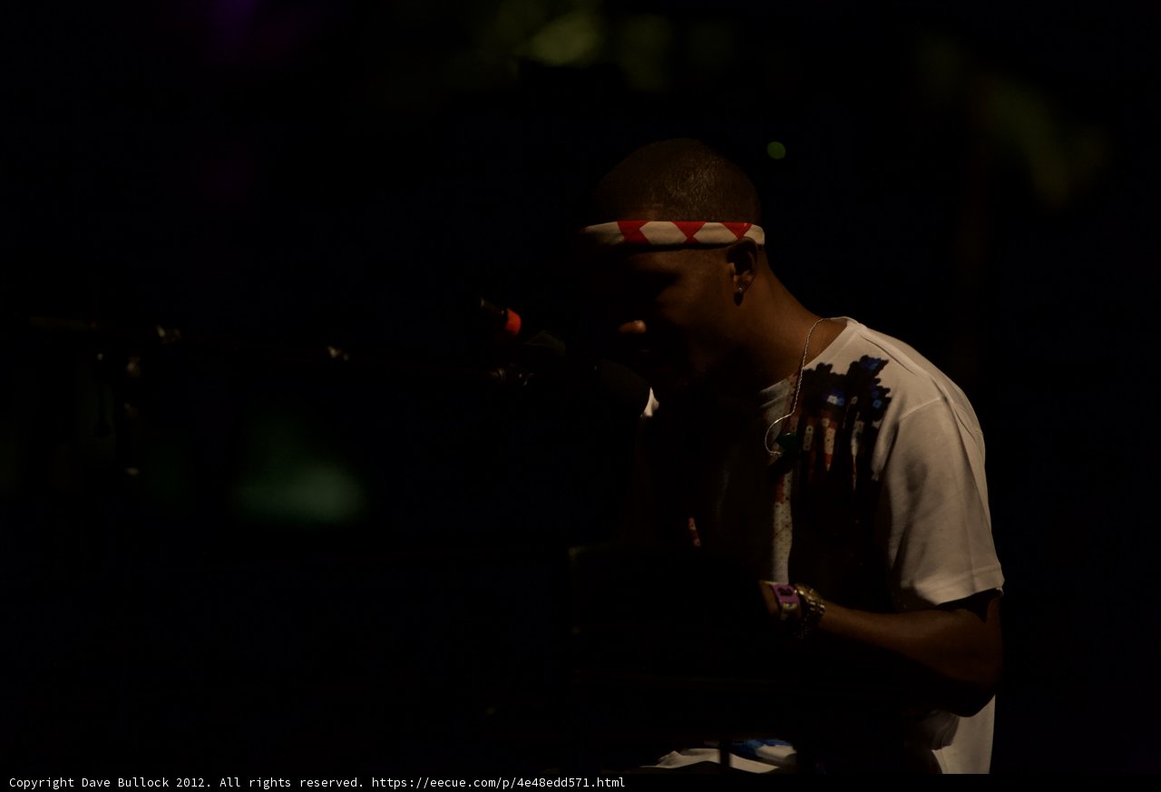 Rocking Out at Coachella