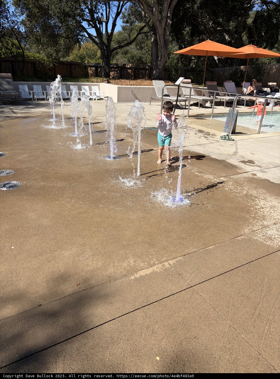Joyful Splash in Carmel