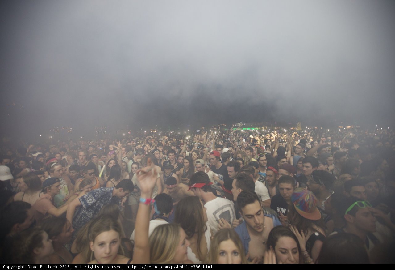 Smoke and Singing: A Music Festival Gathering