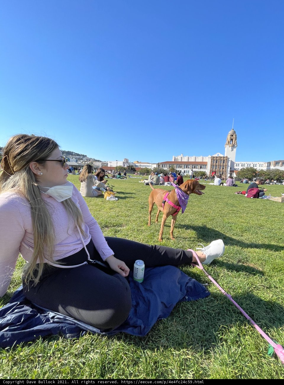 A Peaceful Afternoon in Mission Dolores Park