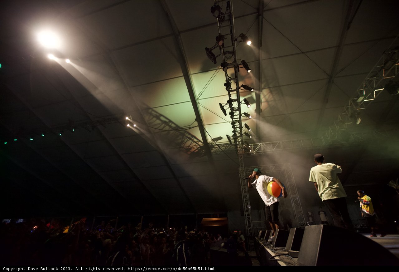 The Spotlight Shines on Domo Genesis and the Crowd