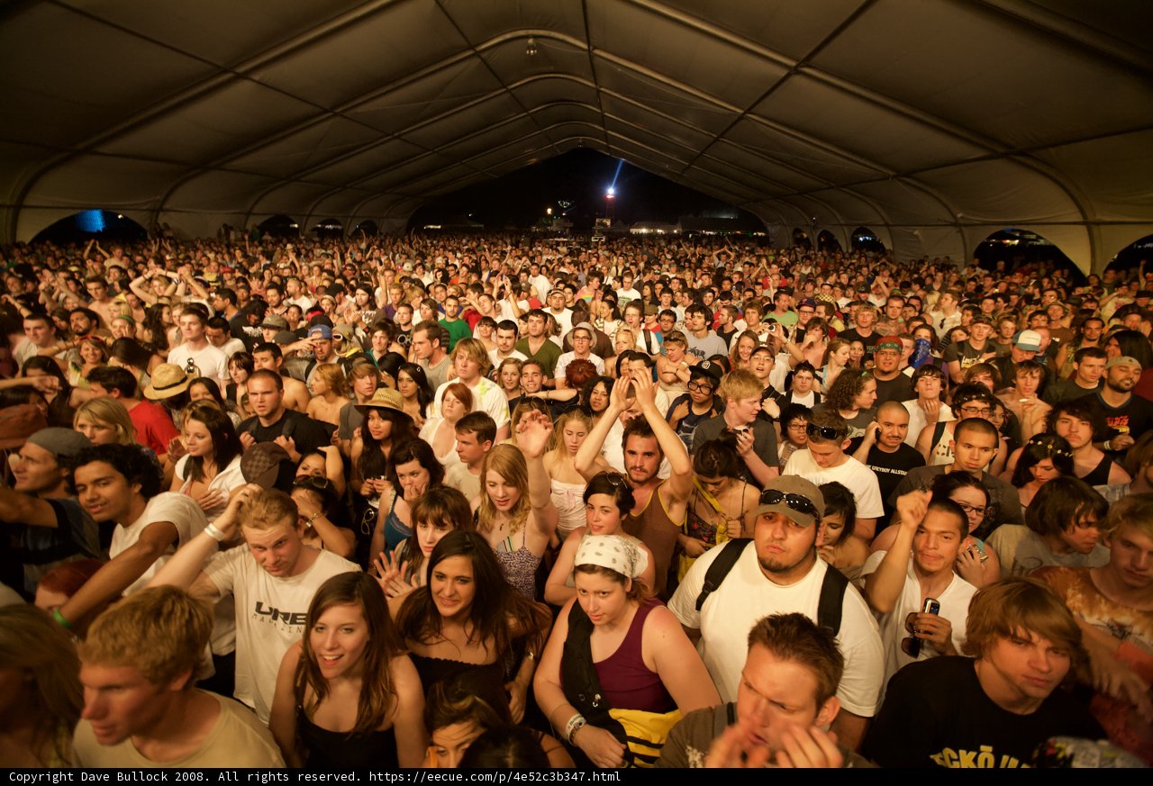 Electrifying Concert Crowd at Coachella 2008