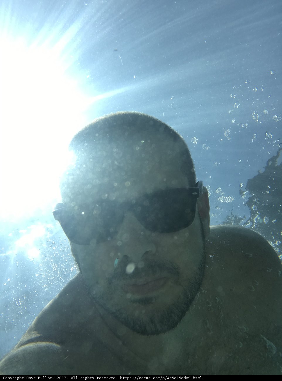 Submerged Sunnies