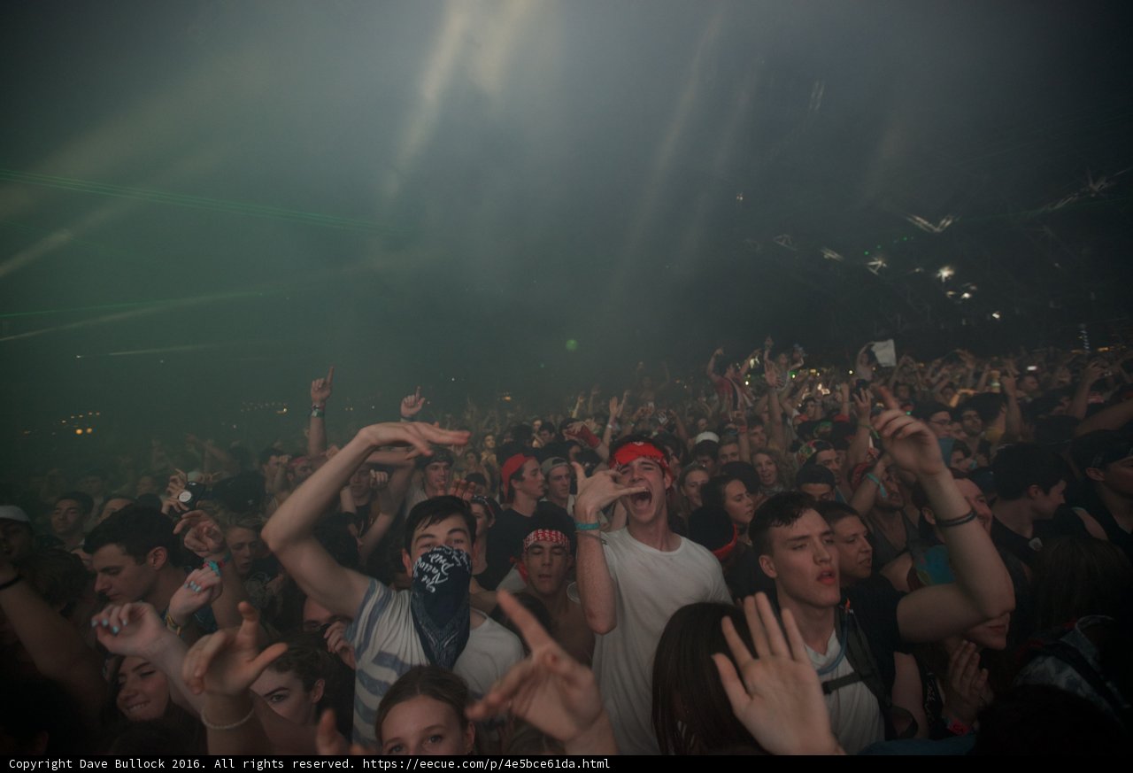 Coachella Crowd Goes Wild