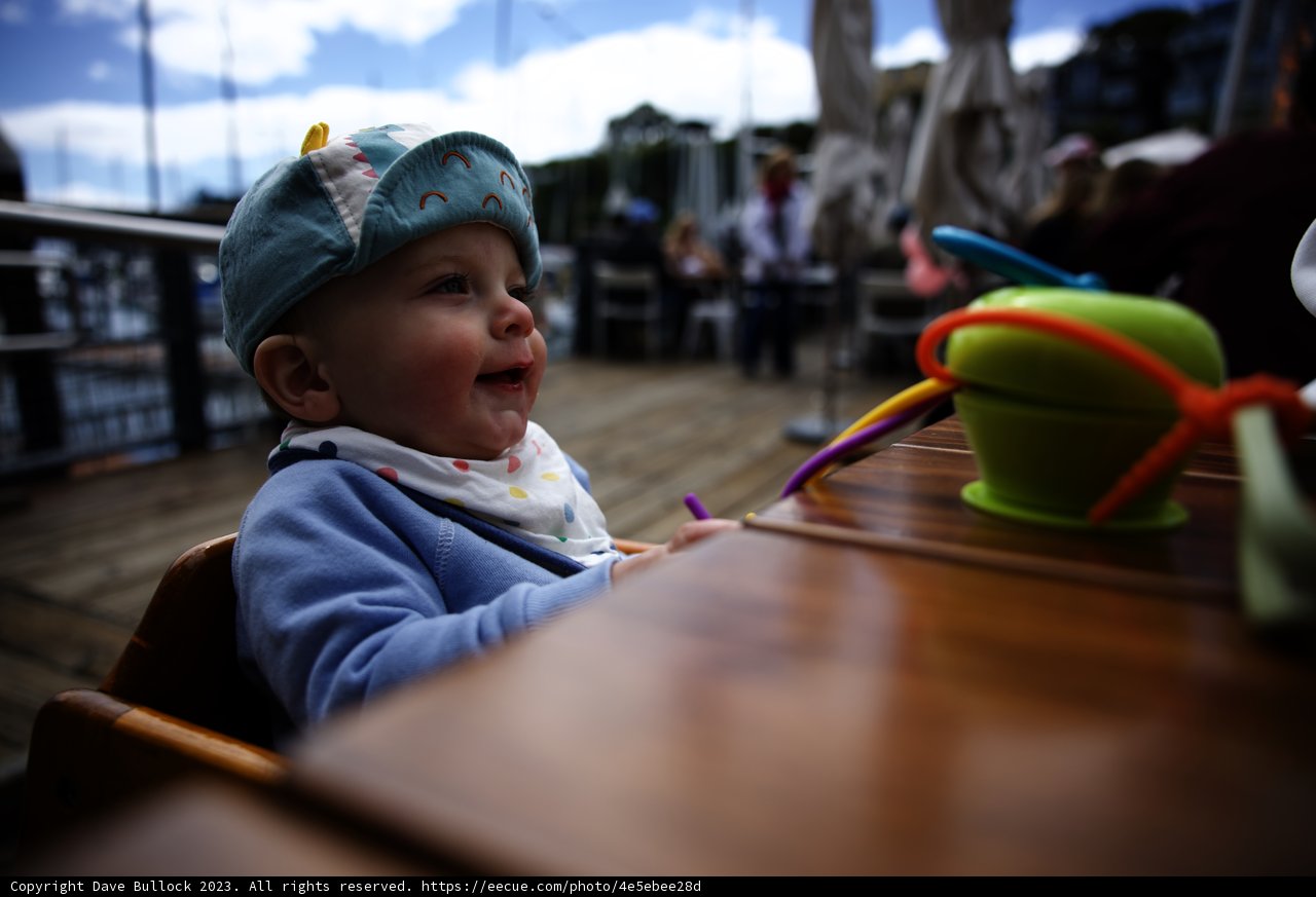 A Playful Day in Tiburon