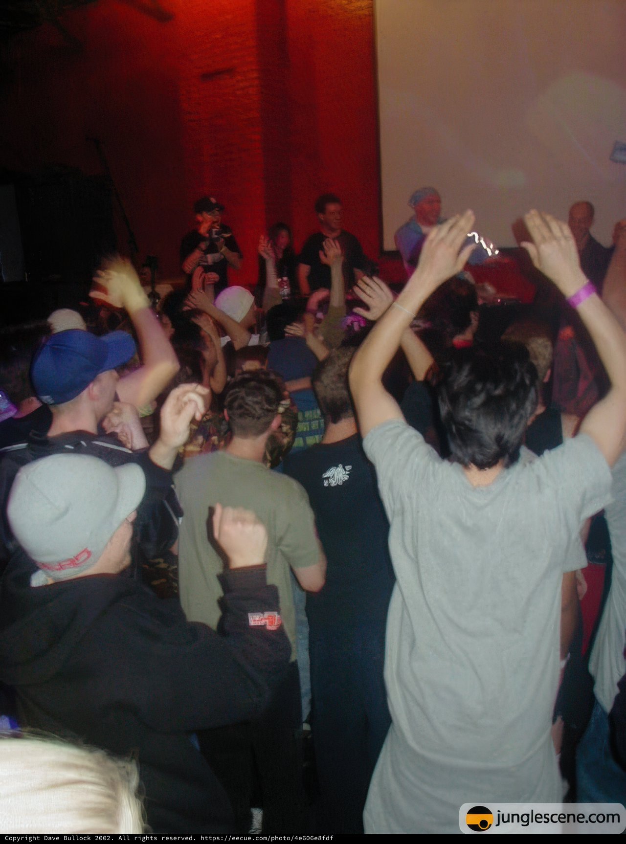 Night Club Crowd with Raised Hands